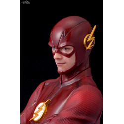 DC Comics - Figurine The...