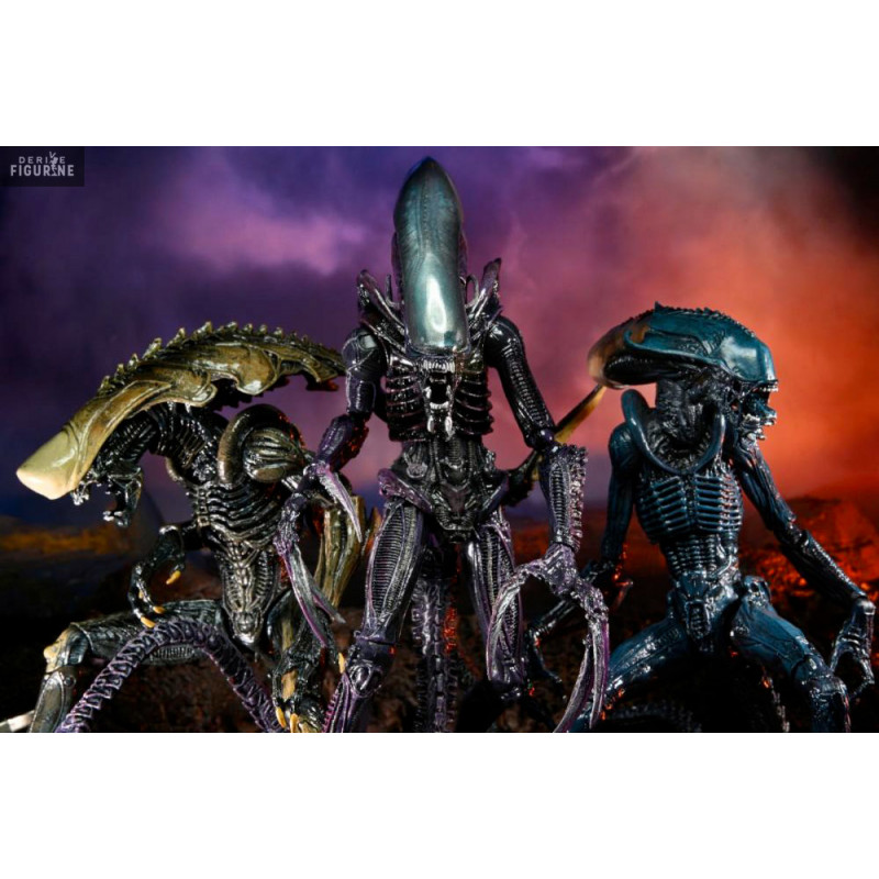 ALIEN vs PREDATOR等のフィギュアセット Aliens Vs. Predator Kenner, The Ultimate Battle Between