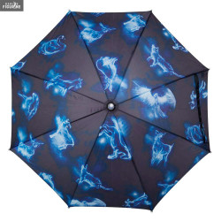 Luminous umbrella Harry...
