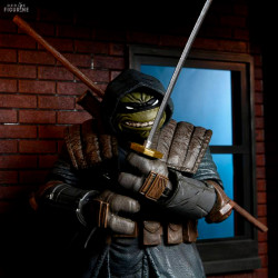Les Tortues Ninja (IDW...