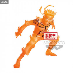 Naruto Shippuden - Naruto...