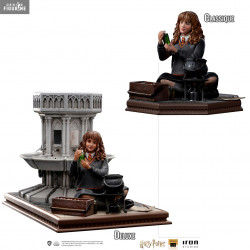 Harry Potter - Hermione...