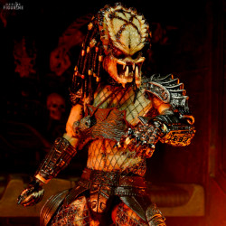 Predator 2 - Boar Predator...