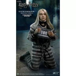 Harry Potter - Figurine...