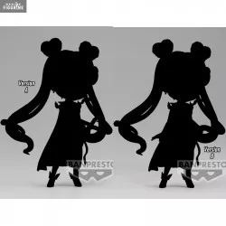 Pretty Guardian Sailor Moon...