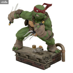Teenage Mutant Ninja...