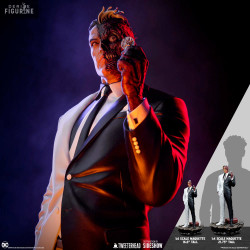 DC Comics - Figure Two-Face...
