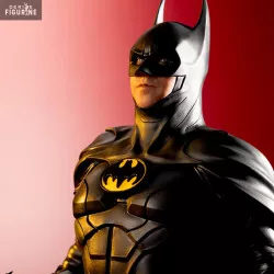 PRE ORDER  - DC Comics The...