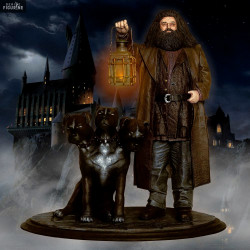 Harry Potter - Hagrid &...