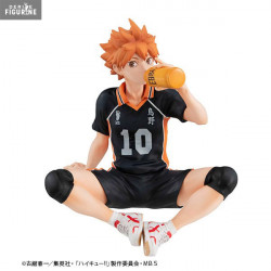 Haikyu!! - Hinata Shoyo...