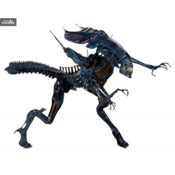 マクファーレン　ALIEN QUEEN エイリアン　クイーン エイリアンクイーン】マクファーレントイズ製AVPプレイセット