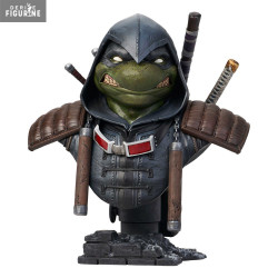 Teenage Mutant Ninja...