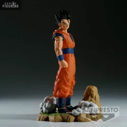 Dragon Ball Z - Son Gohan...