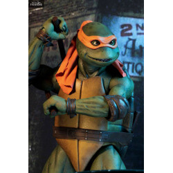Teenage Mutant Ninja...