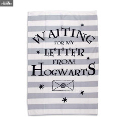 Fleece blanket Harry...
