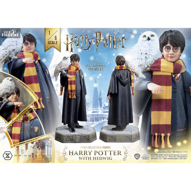 Harry Potter with Hedwig...