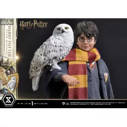 Figurine Harry Potter with...