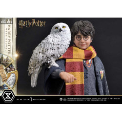 Harry Potter with Hedwig...
