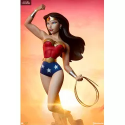 DC Comics - Figurine Wonder...