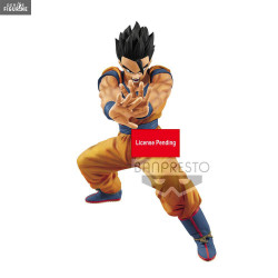 Dragon Ball - Figurine Son...