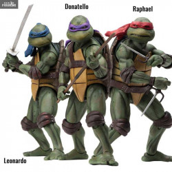Teenage Mutant Ninja...