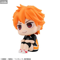 Haikyu!! - Shoyo Hinata...