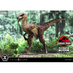 Jurassic Park -...