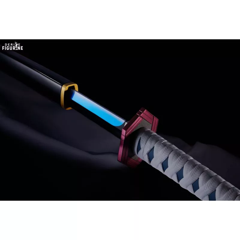 Demon Slayer : Kimetsu no...