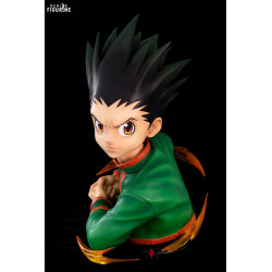 Hunter x Hunter - Gon...