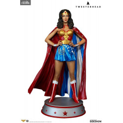 DC Comics - Figurine Wonder...