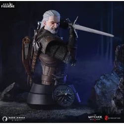 The Witcher 3 Wild Hunt -...