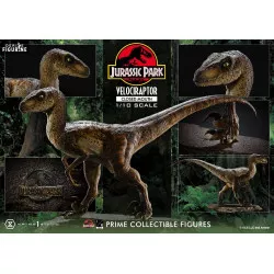 Jurassic Park - Figurine...
