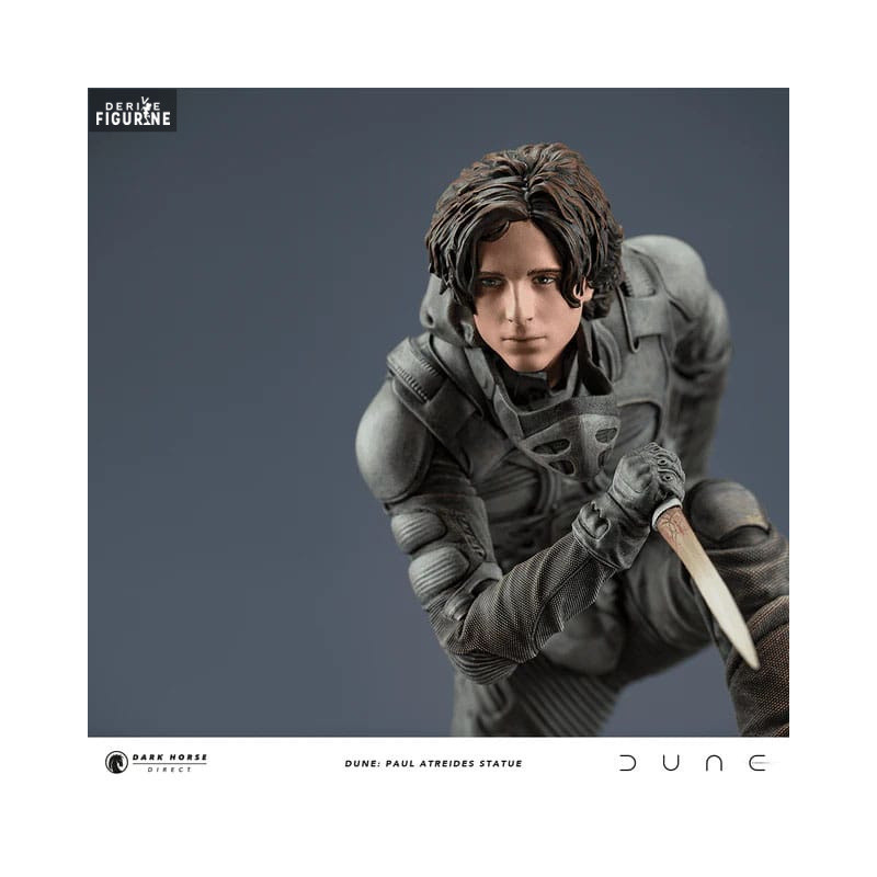 Dune - Paul Atreides figure