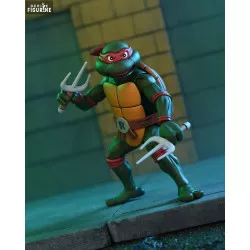 PREORDER - Teenage Mutant...