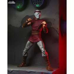 Teenage Mutant Ninja...