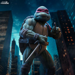 Teenage Mutant Ninja...