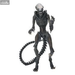ALIEN: ROMULUS Scorched Xenomorph フィギュア Alien: Romulus Ultimate Scorched Xenomorph 7-Inch Scale