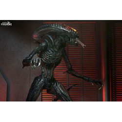 Scorched Xenomorph figure, Ultimate - Aliens - NECA