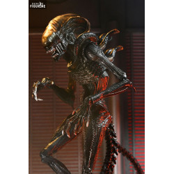 SF・ファンタジー・ホラー NECA Alien: Romulus Scorched Xenomorph Alien: Romulus Bundle – NECA