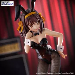 The Melancholy of Haruhi...