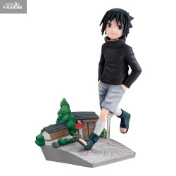 Naruto Shippuden - Sasuke...