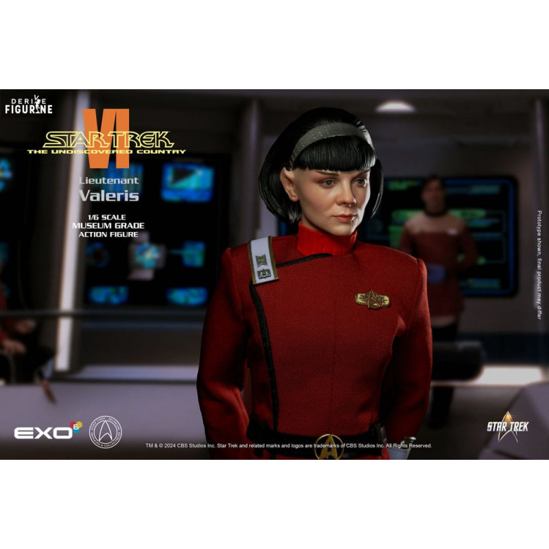 Star Trek 6 : Terre...