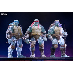 Les Tortues ninja (The Last...