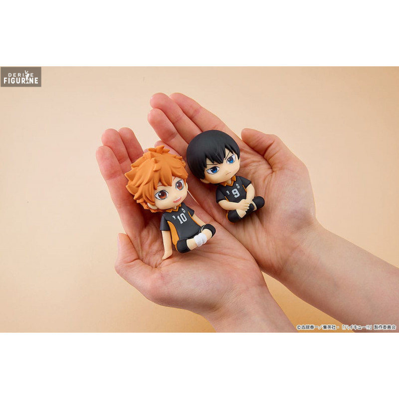 Haikyu!! - Shoyo Hinata...