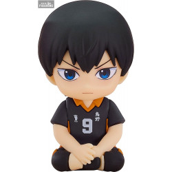 Haikyu!! - Tobio Kageyama...