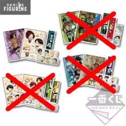 Pack pochettes porte...