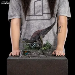 PRÉCOMMANDE - Jurassic...