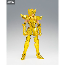 Saint Seiya - Aquarius...