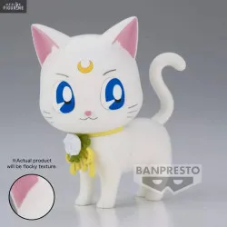 Pretty Guardian Sailor Moon...