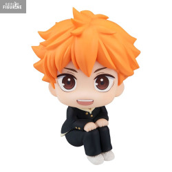 Haikyu!! - Shoyo Hinata...
